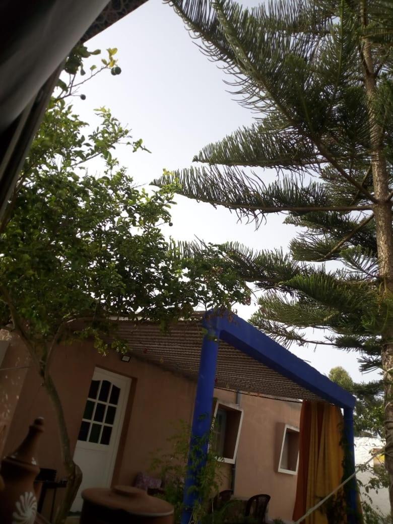 Salma Villa Oualidia